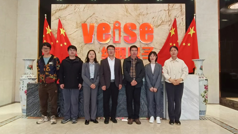 Veise (Guang zhou) Electronics Co., Ltd.